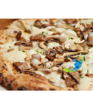 MUSHROOM PIZZA